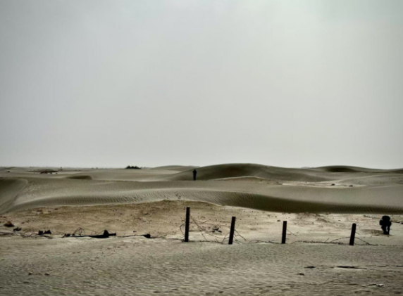 教育将在学生教师业界专家共同形成的圈层中自然生发恣意生长 教育将在学生教师业界专家共同形成的圈层中自然生发恣意生长