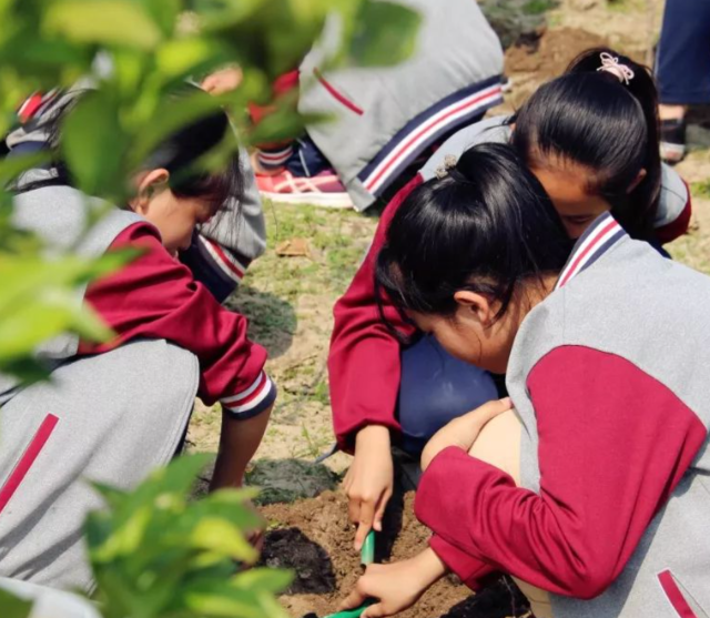 教研同步继续拓宽学子升