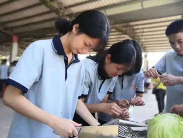 不想趁波逐浪向往着大学
